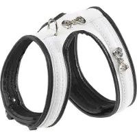 Ferplast Joy P Hundegeschirr