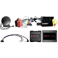 ACV Lenkradfernbedienung Adapter passend für BMW/Mini Fahrzeuge 40Pin Multilead Quadlock CAN/PDC