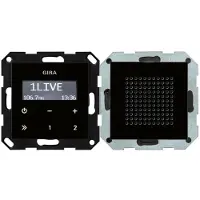 Gira Unterputz-Radio RDS schwarzglasoptik 228005 (228005)