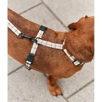 CAFIDE Juno Hundegeschirr Beige Linie S, verstellbar
