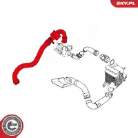 ESEN SKV 24SKV659 Turbo Ladeluftschlauch für RENAULT Scénic III (JZ0/1) SCÉNIC II (JM0/1) MEGANE II Coupé-Cabriolet (EM0/1) MEGANE II Kombi (KM0/1)