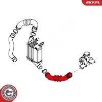 ESEN SKV Ladeluftschlauch 24skv640 rechts unten für VAG