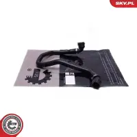 ESEN SKV Kühlerschlauch Wasserschlauch für BMW 5 Touring (F11) 54SKV487