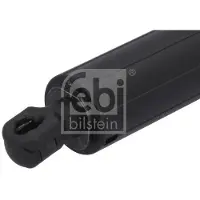 FEBI BILSTEIN Gasfeder, Koffer-/Laderaum 1003591 beidseitig für Porsche