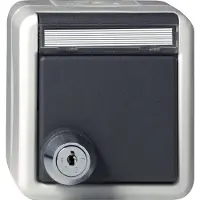 Gira 456730, Schuko, Grau, 250 V, 16 A, 250 V