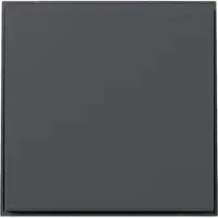 Gira Wippe 349667 gerade TX44 anthr (349667)