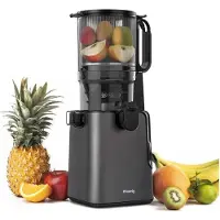 H.Koenig Vertikaler Entsafter GSX26 - BPA-frei, große Öffnung 135 mm, 250 W, spülmaschinengeeignet