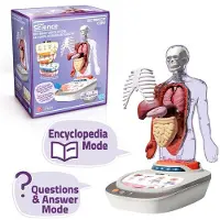 Canal Toys Vozpedia Des Menschlichen Körpers