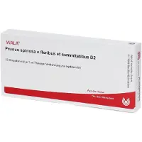 Wala Prunus Spinosa E floribus et summitatibus D 2 Amp. 10x1 ml Ampullen