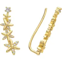 Luxenter Ohrringe mit 18-karätigem Gelbgold-Finish und funkelndem Zirkonia – Anah