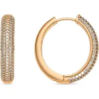Luxenter Ohrringe mit 18-karätiger Gelbgold-Finish und funkelnden Zirkonia-Steinen – Mapris