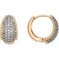 Luxenter Ohrringe mit 18-karätiger Gelbgold-Finish und funkelnden Zirkonia-Steinen – Cinea