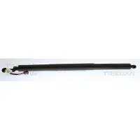 TRISCAN Gasfeder, Koffer-/Laderaum 8710 29324