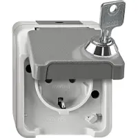 Merten Steckdose Aquastar Lichtgrau MEG2422-8029 1 St.