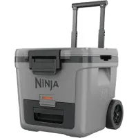 Ninja FB230 FrostVault Kühlbox grau - robuste Isolierbox