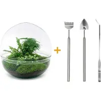 Urbanjngl Diy Terrarium - Kuppel Xl - 30 Cm