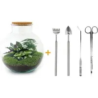 Urbanjngl Diy Terrarium - Bolder Bob - 30 Cm
