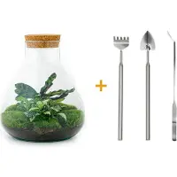 Urbanjngl Diy Terrarium - Sammie - 27 Cm