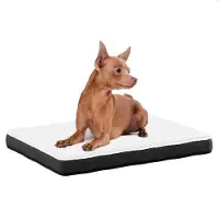 Avalo Orthopädisches Hundebett S - 45x65 cm - Waschbar / Memory Foam / Anti-Rutsch - Orthopädisches Hundekissen