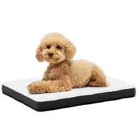 Avalo Orthopädisches Hundebett M - 76x51 cm - Waschbar / Memory Foam / Anti-Rutsch - Orthopädisches Hundekissen