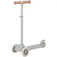 Little Dutch LD6085, Kinder, Dreiradroller, Junge/Mädchen, 3 Rad/Räder, 3 Jahr(e), Grün