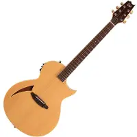 ESP Guitars ESP LTD TL-6 Elektroakustikgitarre Natur