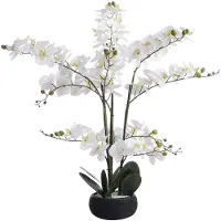 Vente-unique Kunstpflanze Tara Grün Weiß 54 cm