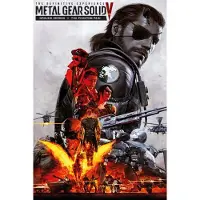 Metal Gear Solid V: The Definitive Experience