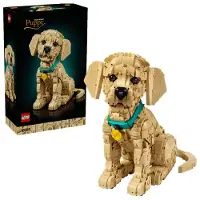 LEGO - Icons - Golden Retriever Welpe (11384)