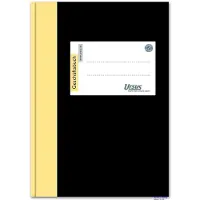 Ursus Green Geschäftsbuch, kariert, A6, 96 Blatt