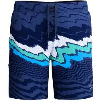 Speedo Men's Shorts STRIPE FLEX BRDSHRT 18",