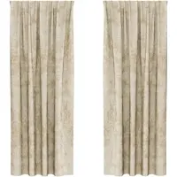 vidaXL Samtvorhänge mit Vorhängen 2 pcs Creme 225 x 140 cm Samt