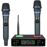 INF Professionelles drahtloses Mikrofonsystem mit Anti-Feedback