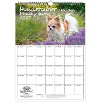 Seelenzauber GmbH Hundezauber Chihuahua Planer DIN A3 Kalender für 2027 Welpen und Hunde - Geschenkset Inhalt: 1x Kalender, 1x Weihnachtsanhänger (insgesamt 2 Teile)