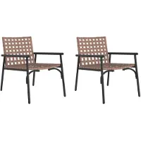 vidaXL Gartenstuhl 2 Stk. Braun Poly-Rattan