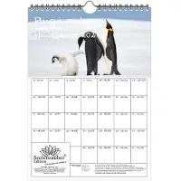 Seelenzauber GmbH Pinguinzauber Kaiserpinguine Planer DIN A4 Kalender für 2027 Pinguin - Geschenkset Inhalt: 1x Kalender 1x Weihnachtsanhänger 1x Grußanhänger (gesamt 3 Teile)