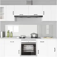 vidaXL Küchenrückwand 2 pcs Transparent 100 x 50 cm Gehärtetes Glas