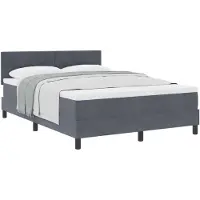 vidaXL Boxspringbett mit Kopfteil Dunkelgrau 160 x 200 cm Samt