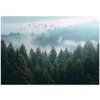 WALLARENA Fototapete Wald in Grün | Gr.: 200 x 140 cm