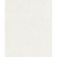 Rasch Vliestapete 816846 Wallton überstreichbares uni weiß 10,05 x 0,53 m GLO769057477