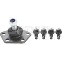 SPIDAN CHASSIS PARTS Traggelenk außen Vorne Unten für FIAT DUCATO Pritsche/Fahrgestell (230) 44697