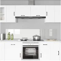 vidaXL Küchenrückwand 2 stk. Transparent 100 x 40 cm Gehärtetes Glas