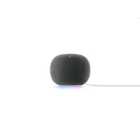 Google - Home Speaker Hazel