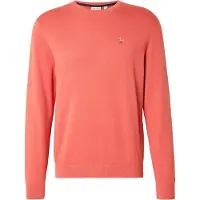 Pepe Jeans Rundhalspullover "DANIELS" mit gestickten Details, Baumwolle