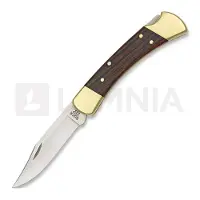 Buck Folding Hunter 110 Taschenmesser, nylon belt pouch