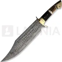 Rough Ryder Bowie Damascus