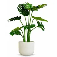 Fleur Ami Kunstpflanze mit Topf Monstera mit Topf Solco 90 cm Weiß