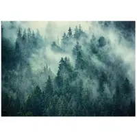 WALLARENA Fototapete Wald in Grün | Gr.: 200 x 140 cm