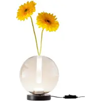 FABAS LUCE Wengen Cognac Tischleuchte, integrierte 7-W-LED, 540 lm, Borosilikatglas, Touch-Dimmer, Farbtemperatur 2700 K-3000 K-4000 K, Schutzart IP20 - Wengen