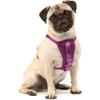 Kurgo TRU-Fit Hundegeschirr Crash-Test-erprobt Auto-Sicherheitsgurt Hunde 2-5 kg Größe S Lila